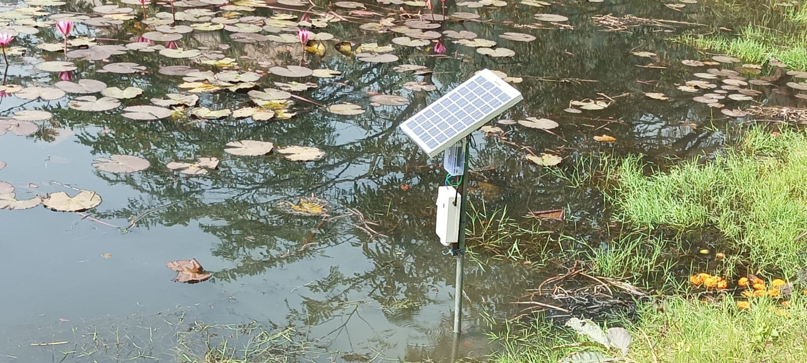 Sensor node deployed at a pond